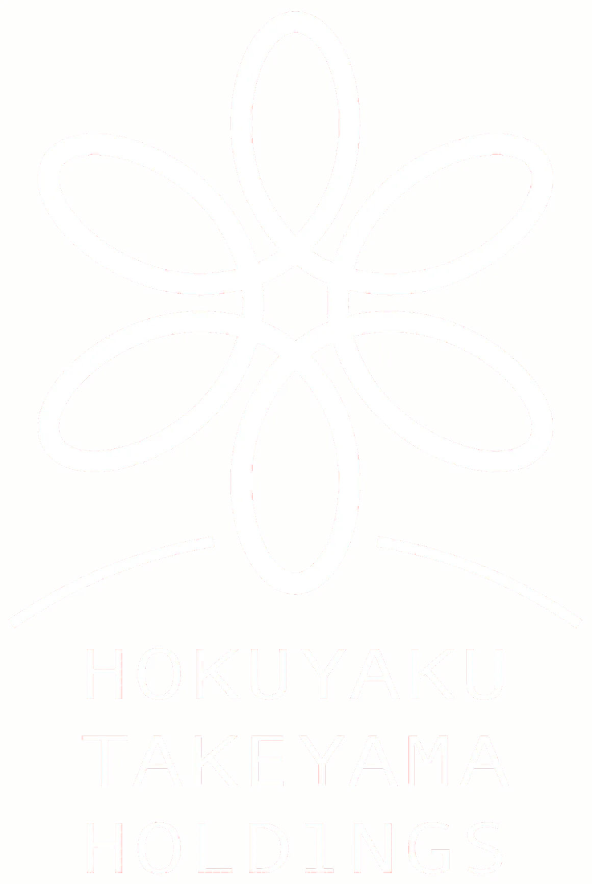 HOKUYAKU TAKEYAMA HOLDINGS